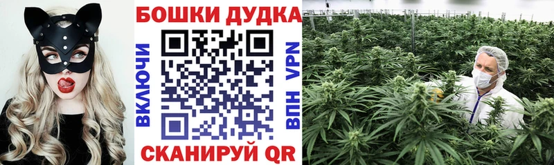 Купить наркотики цена Подпорожье Гашиш  Бошки Шишки  Кокаин  МЕТАМФЕТАМИН  Codein  СК  Меф мяу мяу 