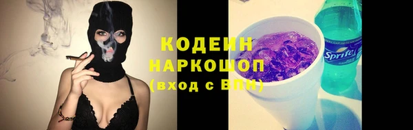 ГАЛЛЮЦИНОГЕННЫЕ ГРИБЫ Михайлов