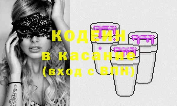 ГАЛЛЮЦИНОГЕННЫЕ ГРИБЫ Михайлов