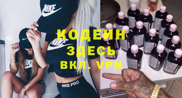 ГАЛЛЮЦИНОГЕННЫЕ ГРИБЫ Михайлов