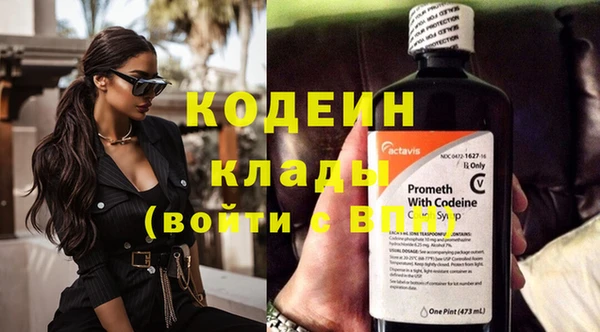 ГАЛЛЮЦИНОГЕННЫЕ ГРИБЫ Михайлов