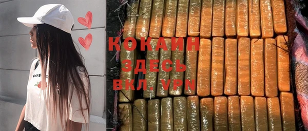 ГАЛЛЮЦИНОГЕННЫЕ ГРИБЫ Михайлов