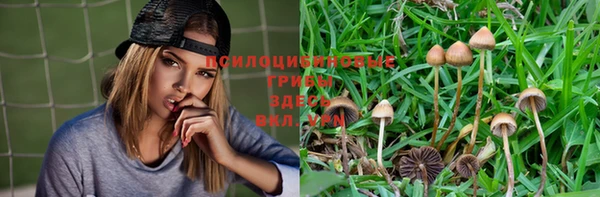 герыч Михайловск