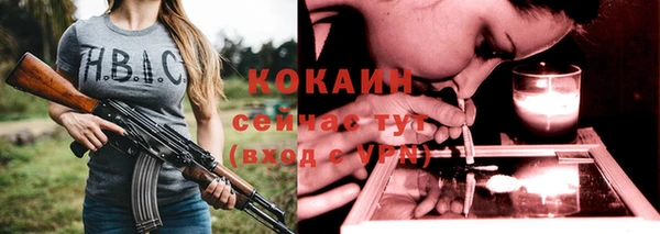 ГАЛЛЮЦИНОГЕННЫЕ ГРИБЫ Михайлов
